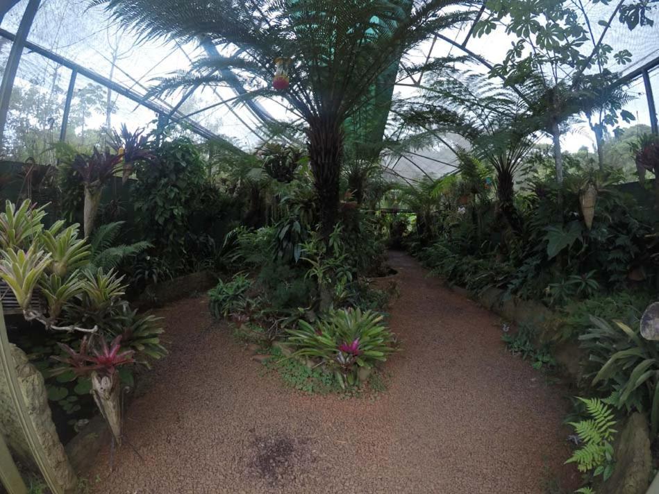 El Pueblito Iguazu Otel Puerto Iguazú Dış mekan fotoğraf